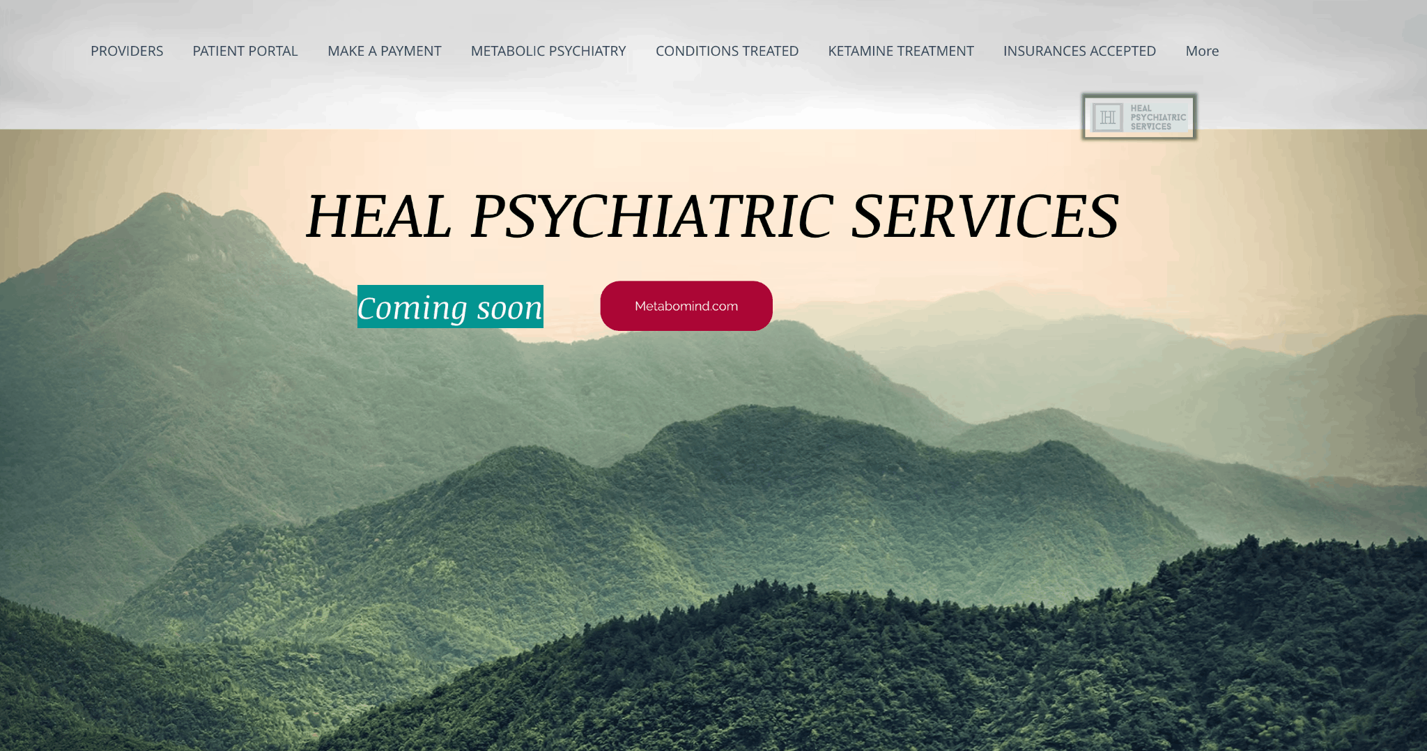 Heal Psychiatric Services